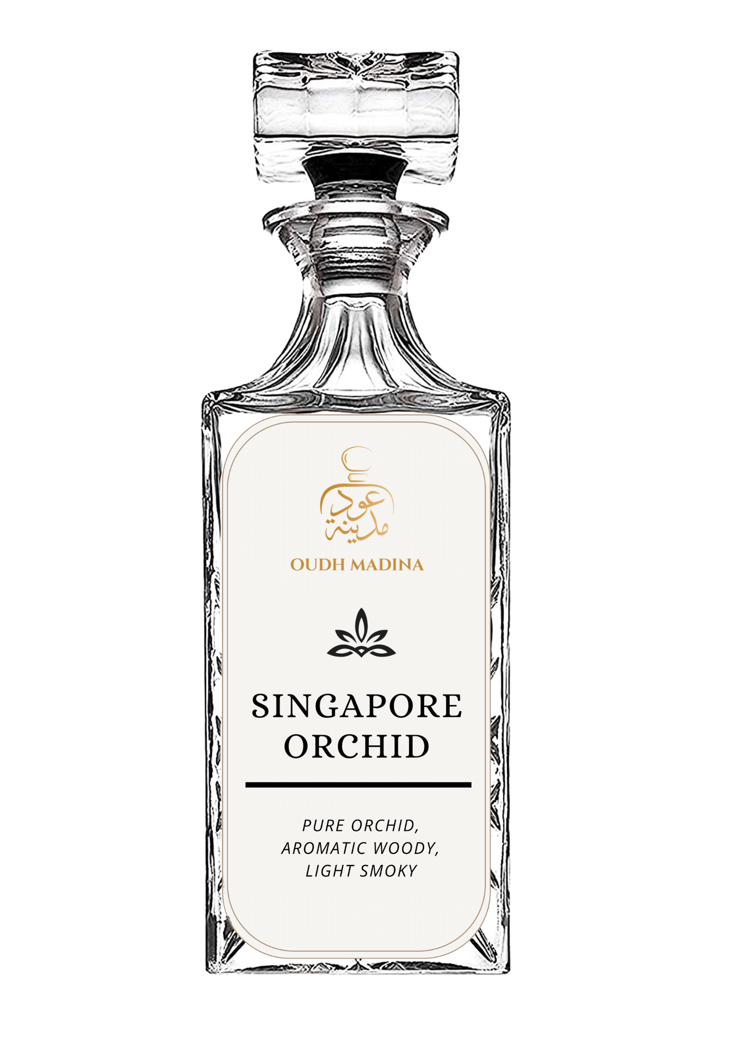 Singapore Orchid
